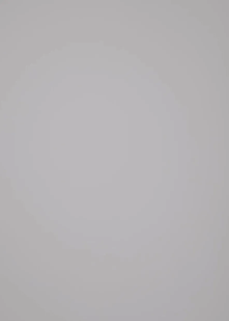 antichita___cherv_6.webp ANTICHITA 999 - Chervò